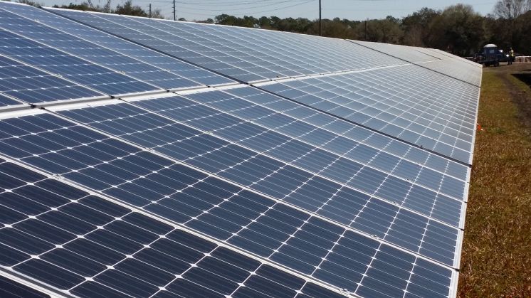 A solar array at Duke Energy Florida's 3.8 megawatt solar array in Osceola County, near St. Cloud. [Times files]
